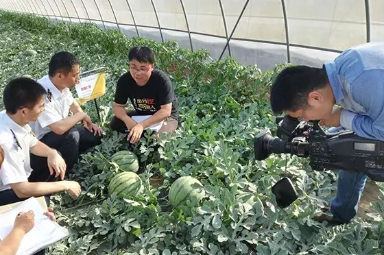 寒流无情，农大和天辰娱乐有爱
