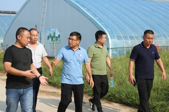 本分天辰娱乐 助力农业发展提质增效