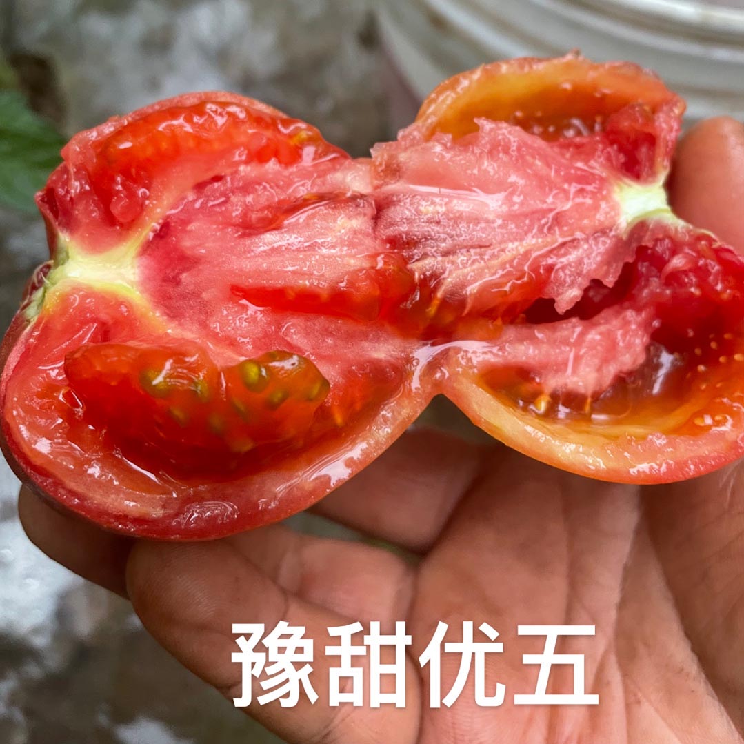 天辰娱乐优五