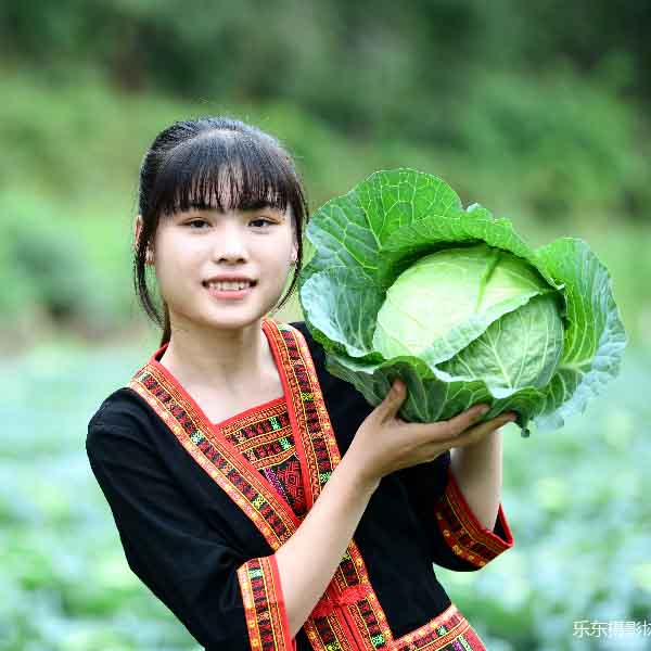 天辰娱乐水果甘蓝