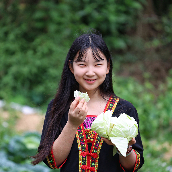 天辰娱乐水果甘蓝