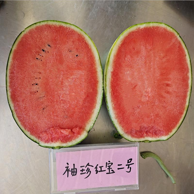 袖珍红宝二号