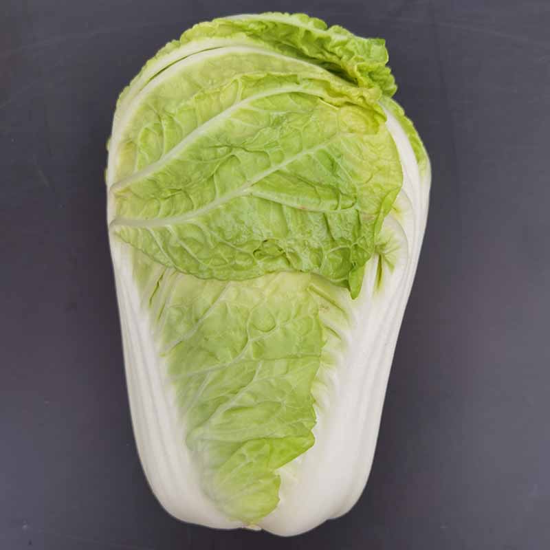 龙芽皇二号