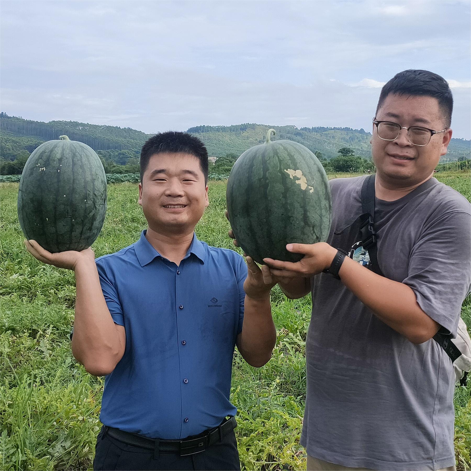 天辰娱乐黑娃二号