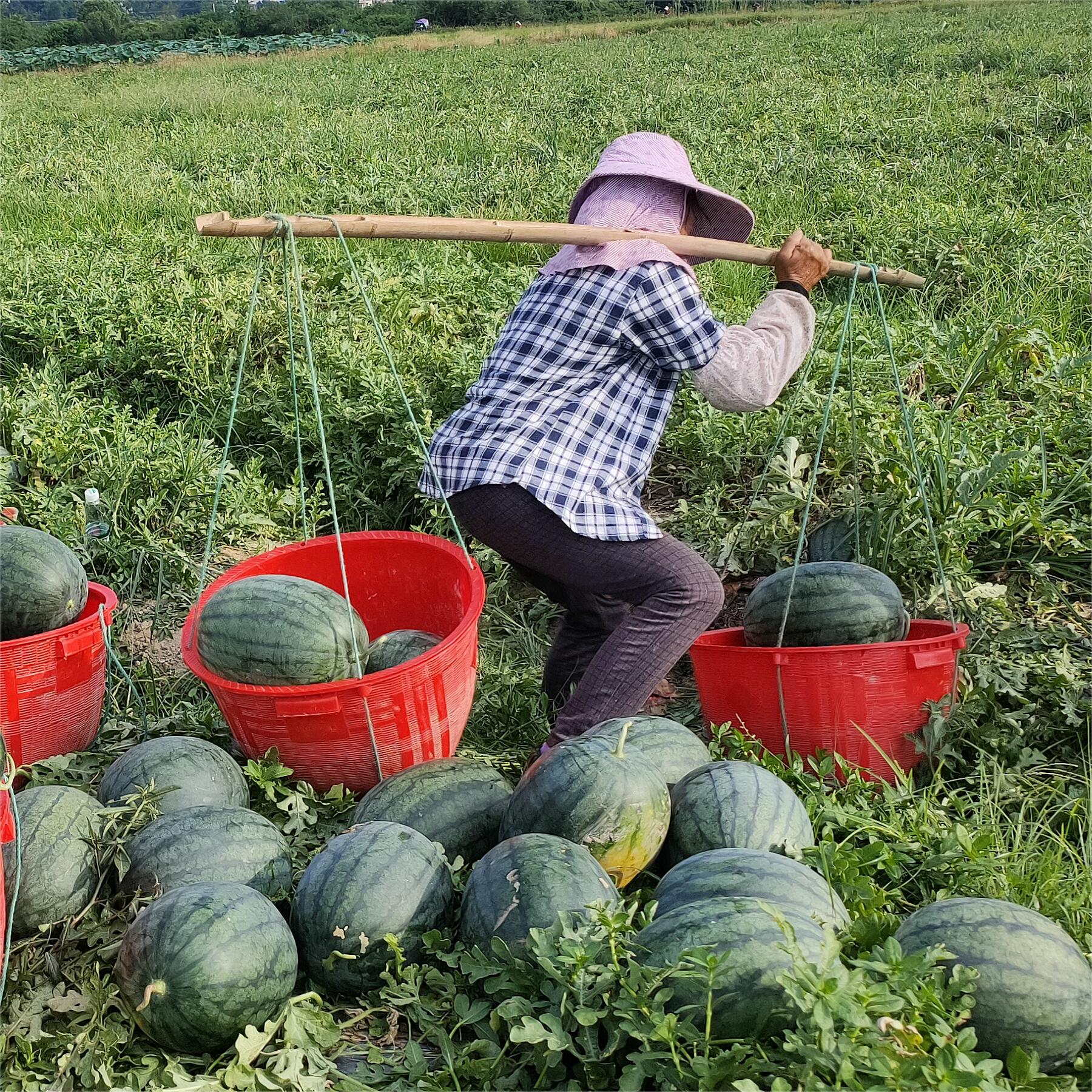 天辰娱乐黑娃二号