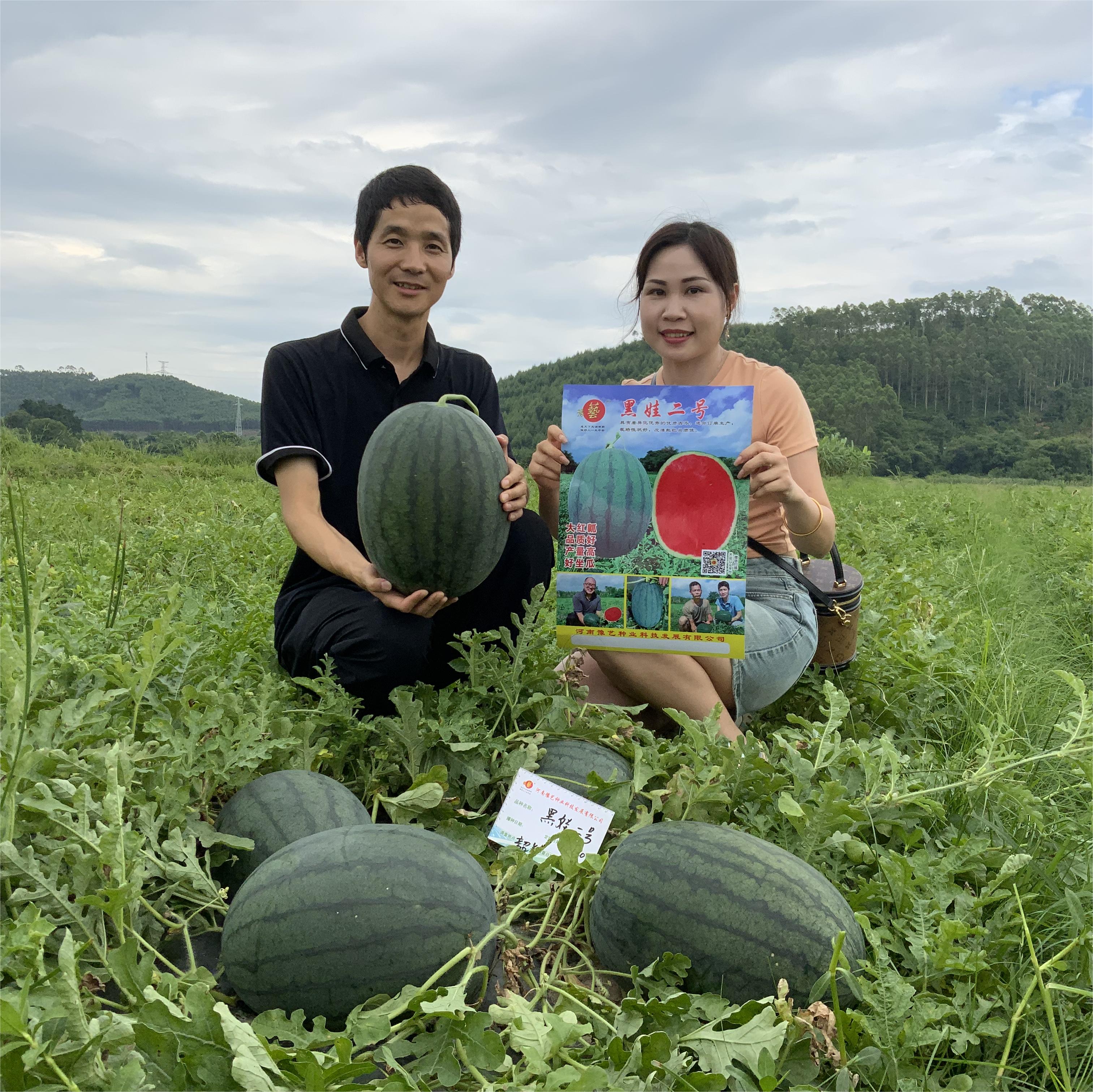 天辰娱乐黑娃二号
