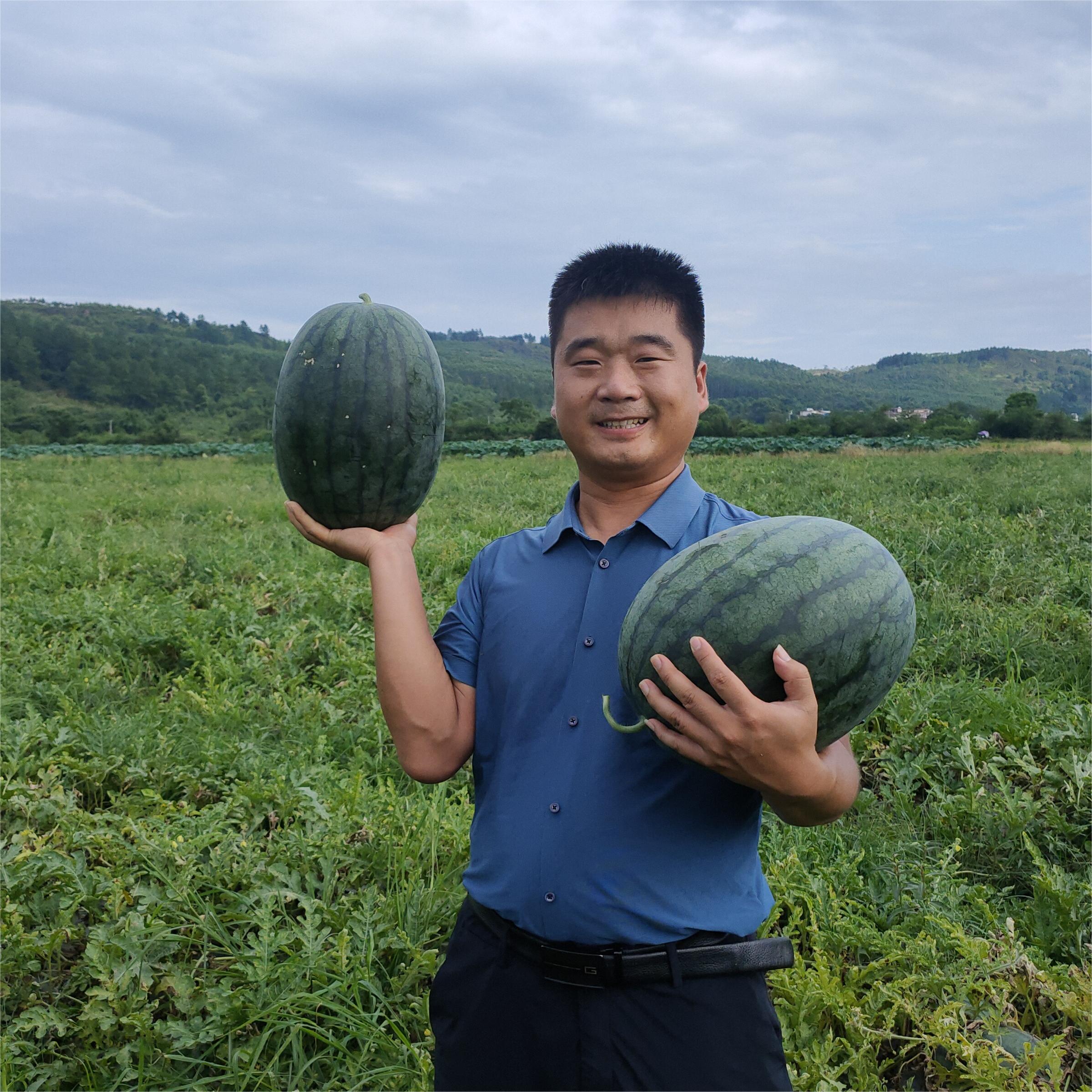 天辰娱乐黑娃二号