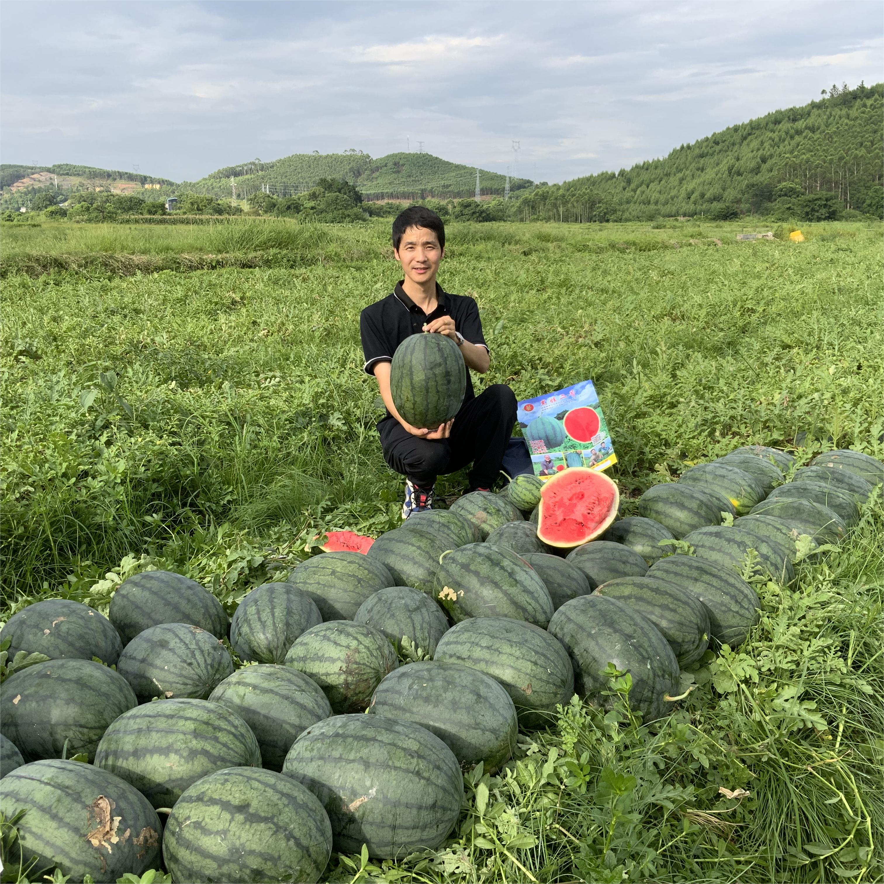 天辰娱乐黑娃二号