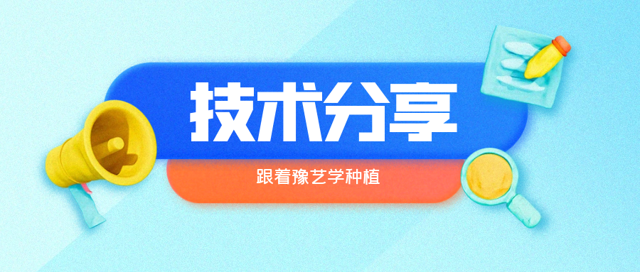秋大棚辣椒、番茄育苗关键技术分享