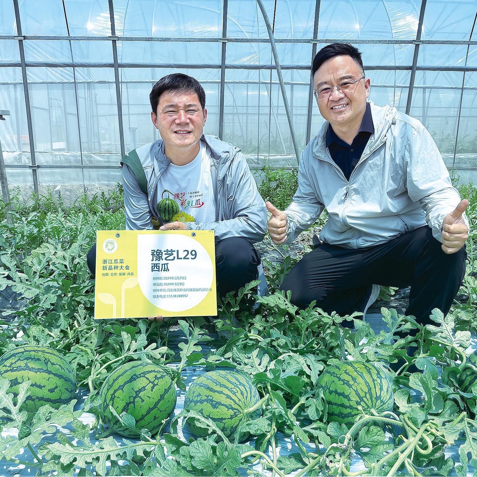 天辰娱乐L29
